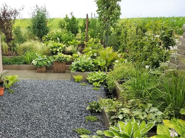 Pflanzenvielfalt Referenzbild