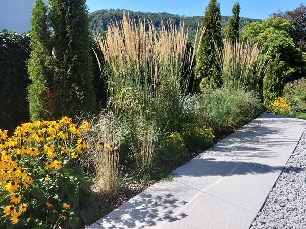 Pflanzenvielfalt Referenzbild