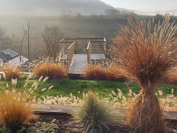 Pflanzenvielfalt Referenzbild