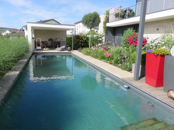 Schwimmteich und Naturpools Referenzbild