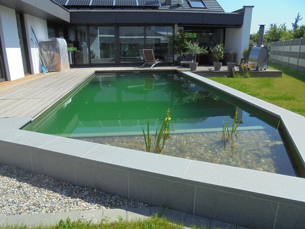 Schwimmteich und Naturpools Referenzbild