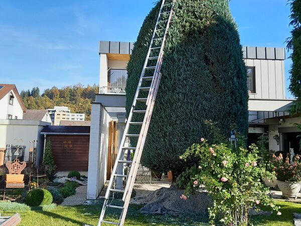 Gartenpflege Referenzbild