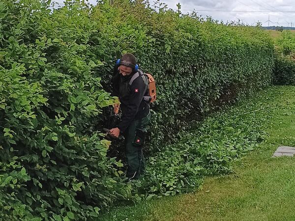 Gartenpflege Referenzbild