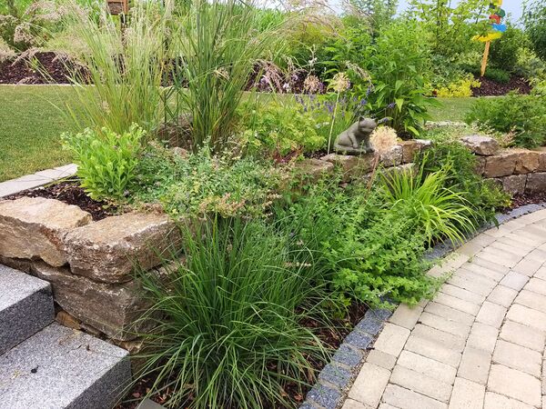 Pflanzenvielfalt Referenzbild